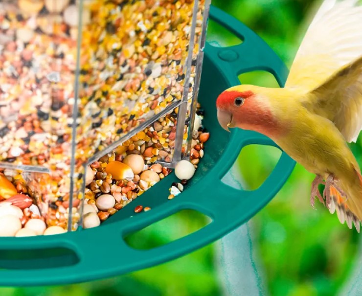 Automatic Bird Feeder — Multi-Port Outdoor Feeder